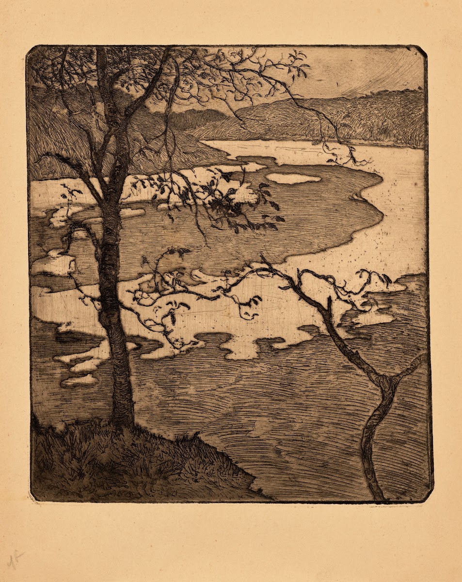 Arbres au dessus dun estuaire Trees above the Estuary 1892