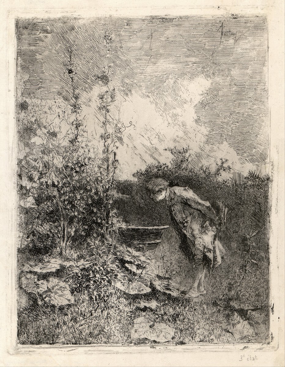 The Botanist 1868 1869