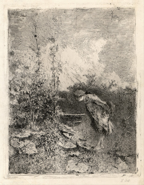 The Botanist 1868 1869