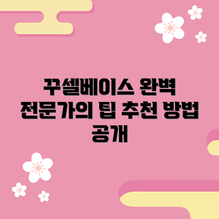 꾸셀베이스, 어떻게 꾸셀베이스를 마스터할까, 꾸셀베이스 추천, 꾸셀베이스 사용법, 왜 꾸셀베이스를 선택해야 할까