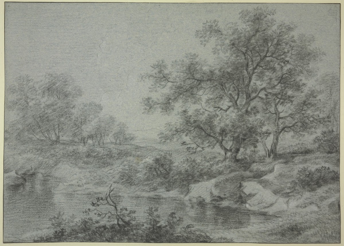Tree section by the water