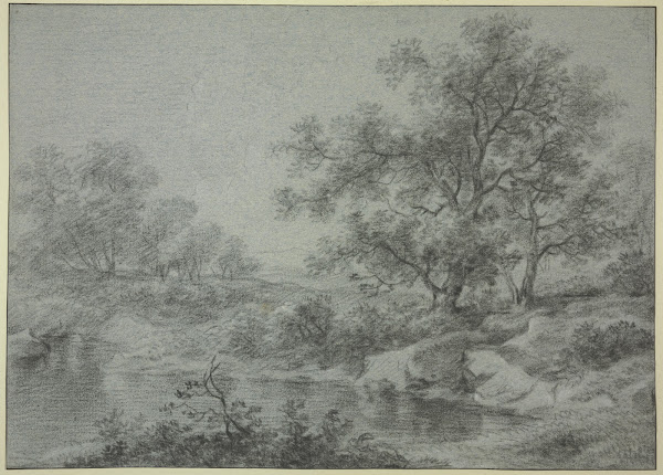 Tree section by the water