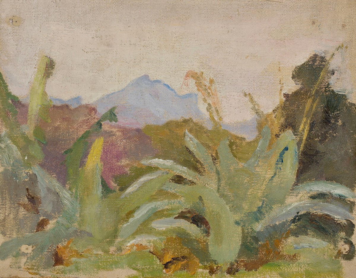 Ceylon Adams Peak landscape From the journey to India 1907