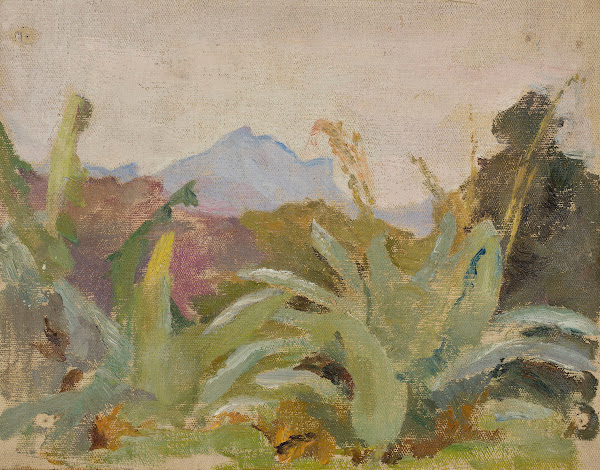 Ceylon Adams Peak landscape From the journey to India 1907
