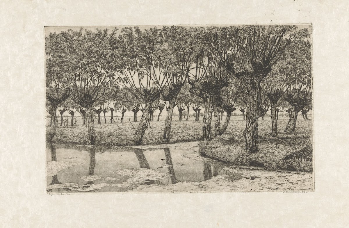 Polderlandschap met knotwilgen 1911   1939