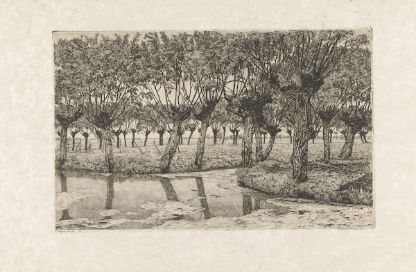 Polderlandschap met knotwilgen 1911   1939