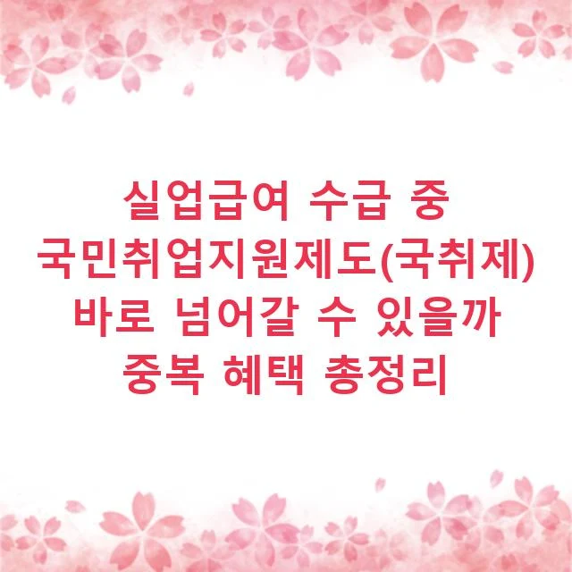 실업급여 수급 중 국민취업지원제도(국취제) 바로 넘어갈 수 있을까 중복 혜택 총정리