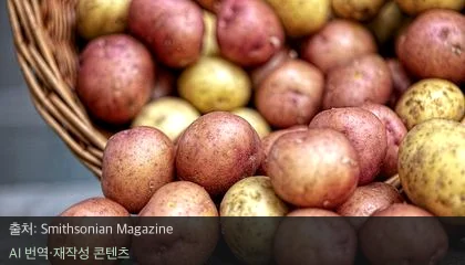 감자의 진화 - 감자 먹다가 유전자가 변했다? 인류를 바꾼 감자의 진화