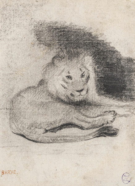 Etude de lion couché 19th century