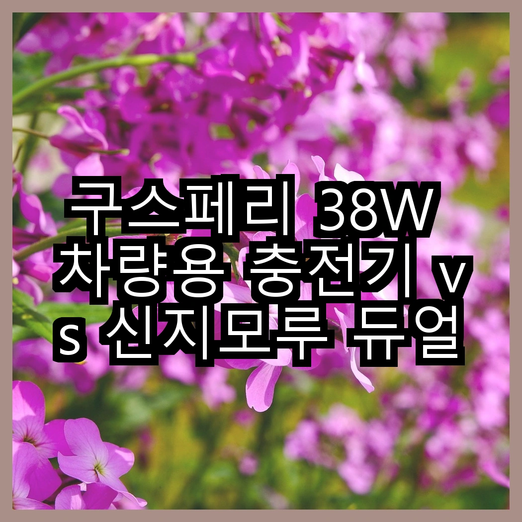 구스페리 38W 차량용 충전기 vs 신지모루 듀얼 고속 충전기, 당신의 선택은? 썸네일