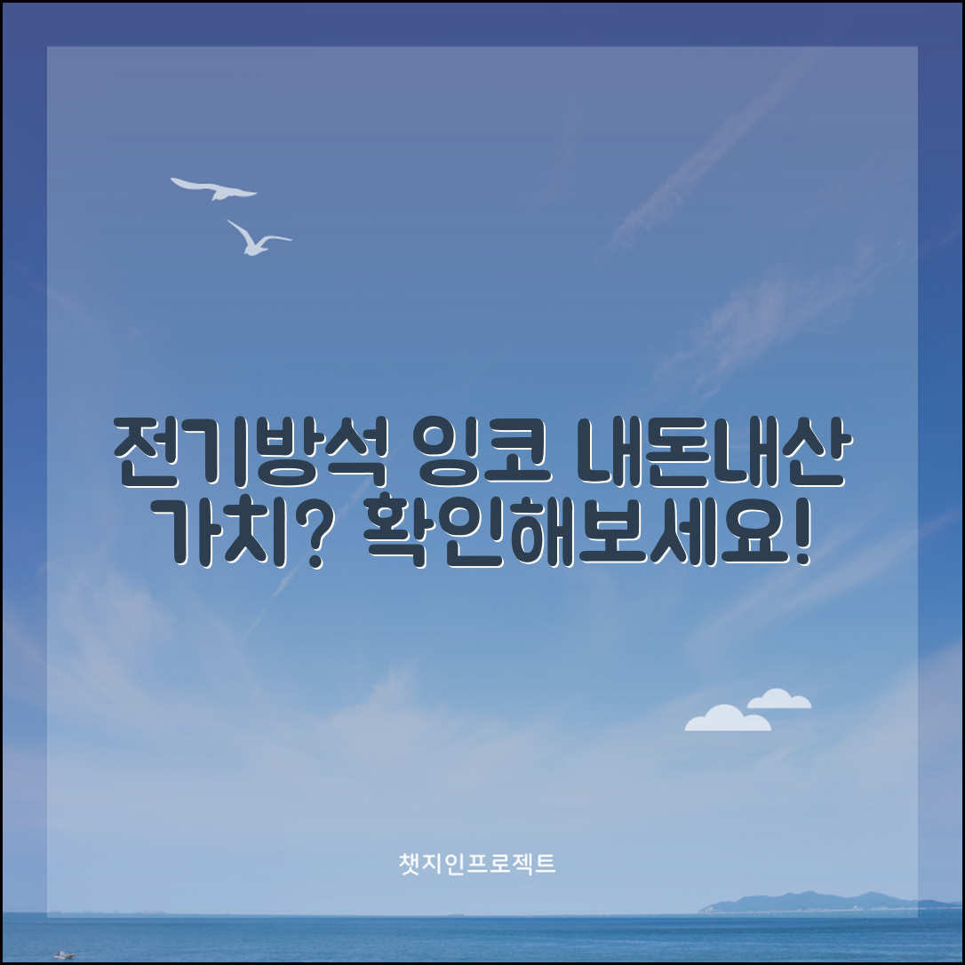 전기방석잉코, 정말 내돈내산할 가치가 있을까요?