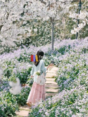 Câu Chuyện Của Số Năm