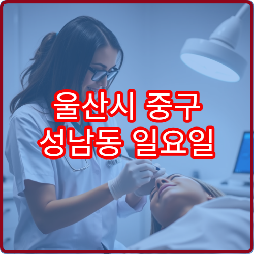 울산시 중구 성남동 일요일 산부인과 진료 가능한 병원 여성 건강 안내