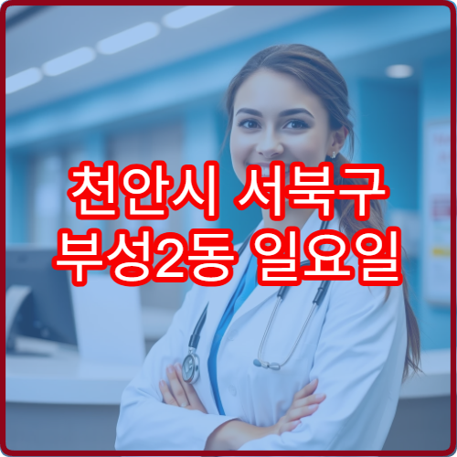 천안시 서북구 부성2동 일요일 피부과 진료 병원 접촉성 피부염 상담