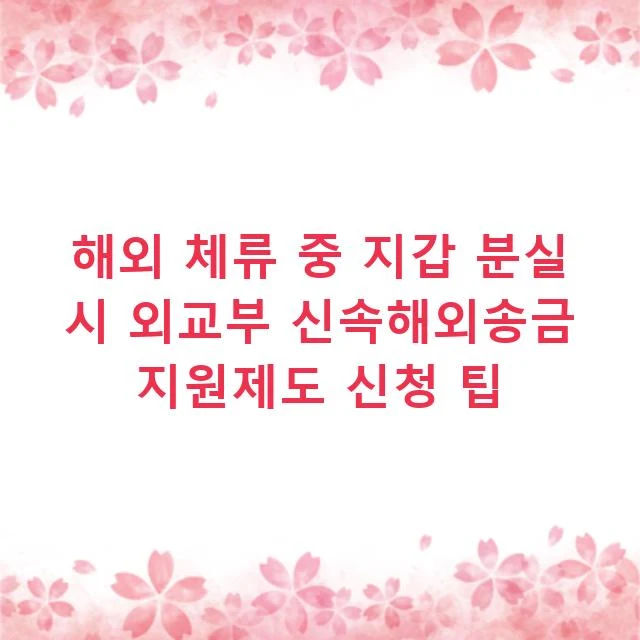 해외 체류 중 지갑 분실 시 외교부 신속해외송금 지원제도 신청 팁