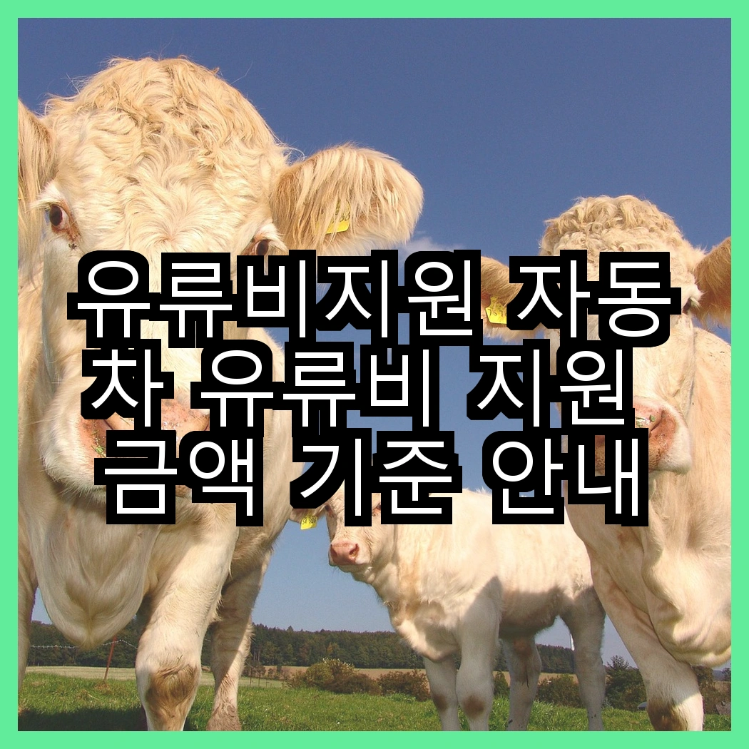 유류비지원 자동차 유류비 지원 금액 기준 안내 썸네일