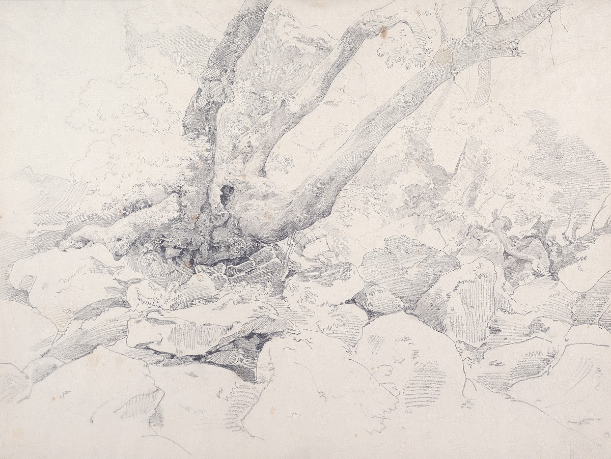 Verkrüppelter Baumstamm auf Felsen bei Ariccia 1824