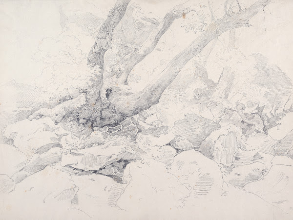 Verkrüppelter Baumstamm auf Felsen bei Ariccia 1824
