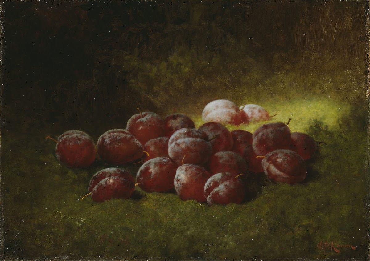 Purple Plums 1895