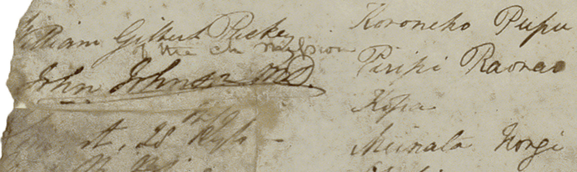 Udale_story_Treaty_of_Waitangi_John_Johnson.jpg