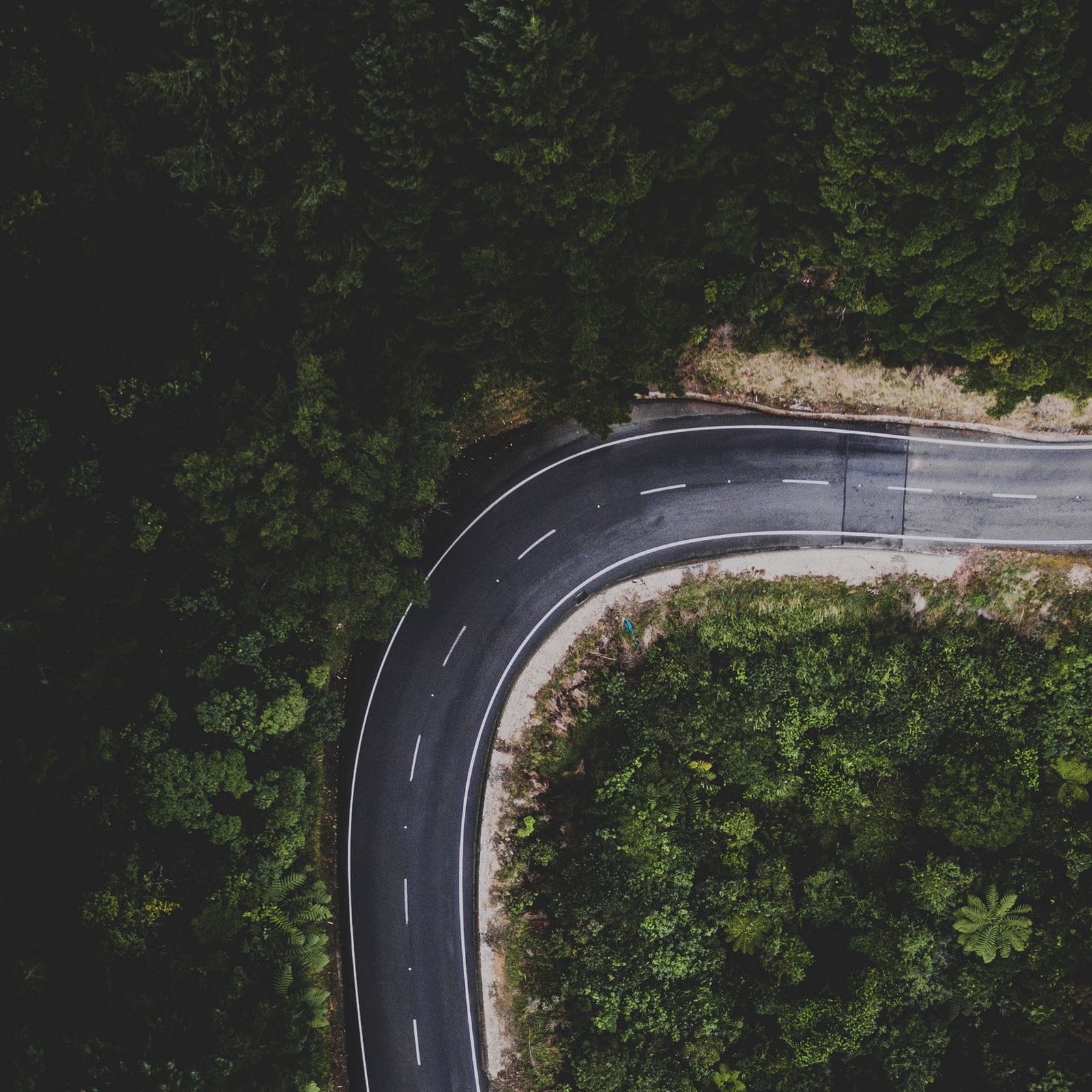 Download Winding Forest Road From Above 2K iPhone