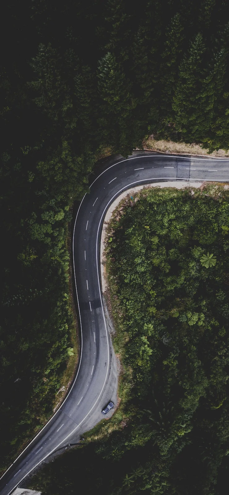 Winding Forest Road From Above - Aerial Photography 2K iPhone Wallpaper (1463x3165)