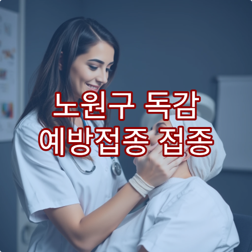노원구 독감 예방접종 접종 시기 비용 병원 추천