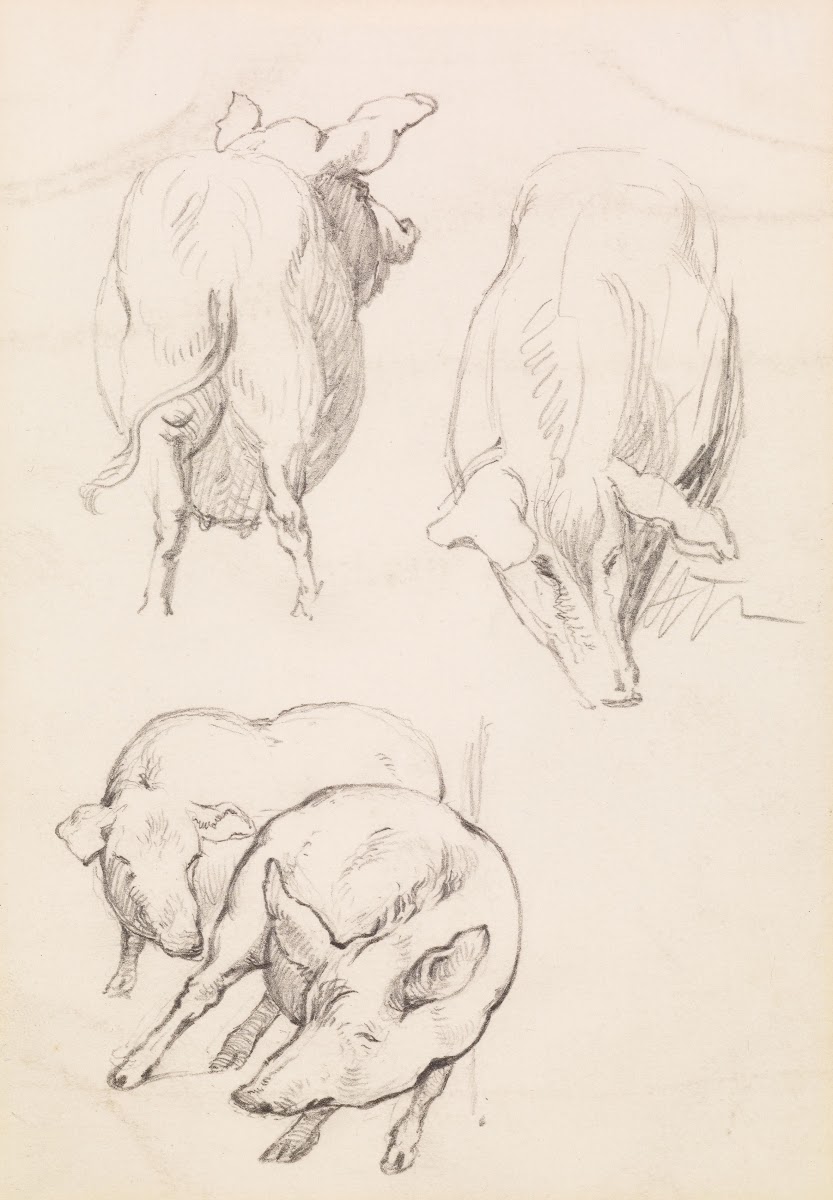 Three Studies of Pigs