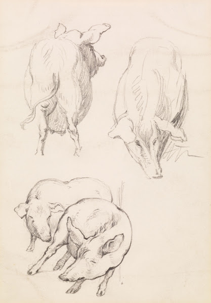 Three Studies of Pigs