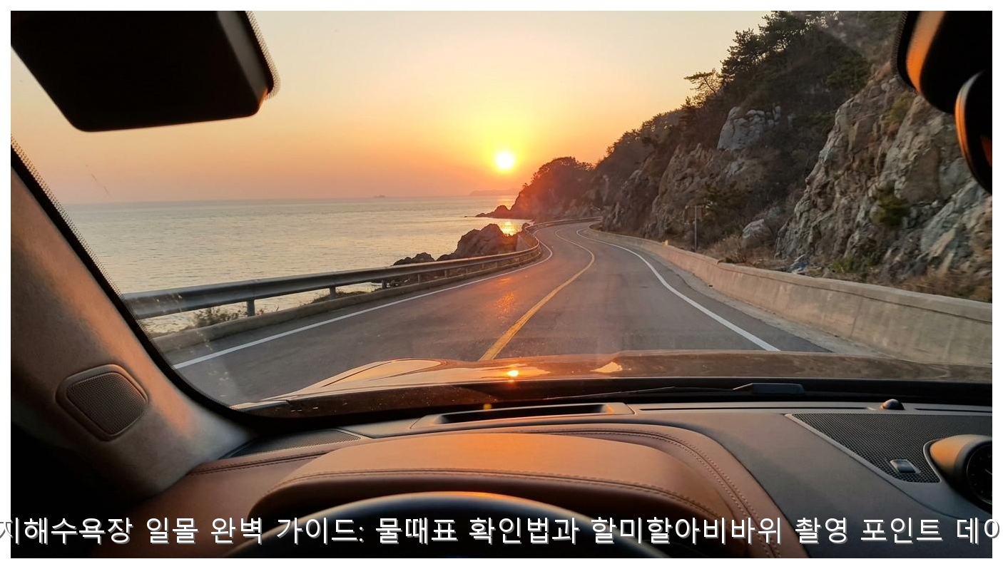 태안 꽃지해수욕장 일몰 완벽 가이드: 물때표 확인법과 할미할아비바위 촬영 포인트 데이터 분석 핵심 안내 및 분석 인포그래픽 (5)