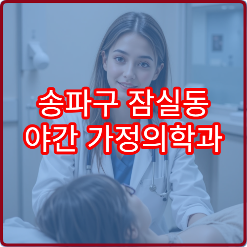 송파구 잠실동 야간 가정의학과 진료 가능한 병원 야간 운영 정보