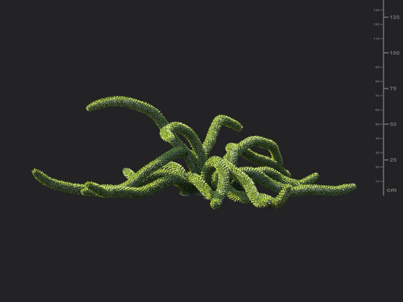 Maxtree - Plant Models Vol.130