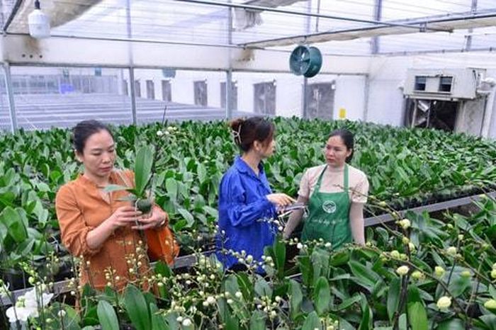 Khi nông nghiệp Hà Nội bước vào cuộc chơi công nghệ và đổi mới sáng tạo - Báo Hà Nội Mới