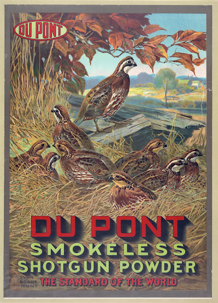 Du Pont smokeless shotgun powder  the standard of the world 1913