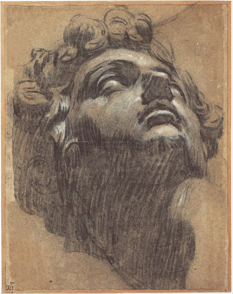 Head of Giuliano de Medici 1540s