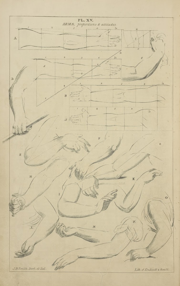 Arms  proportions and attitudes 1831