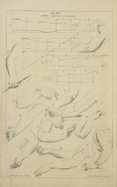 Arms  proportions and attitudes 1831