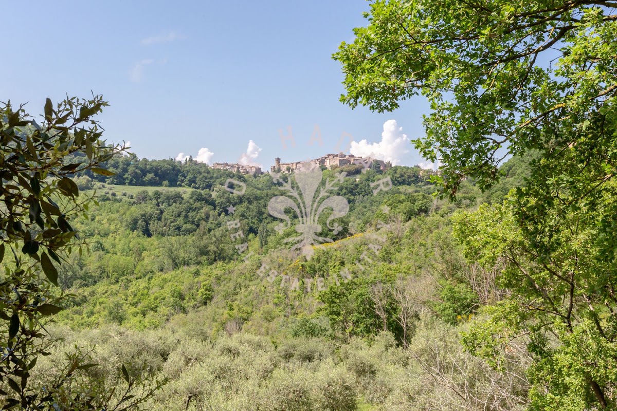 הבית מאחורי הגבעה (Il Casale dietro la Collina) — 38