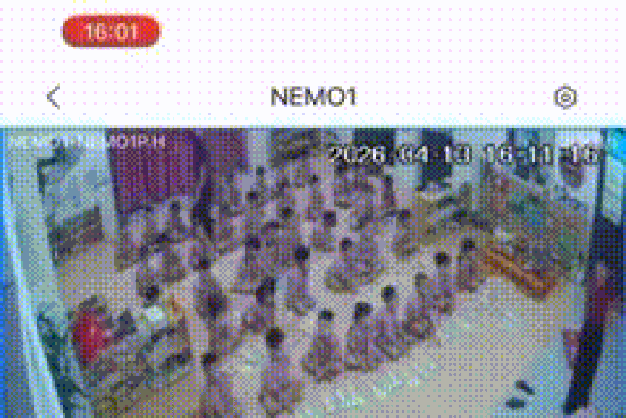 Đình chỉ nữ giáo viên nghi có hành vi tác động vào đầu cháu bé 5 tuổi - Báo Tiền Phong