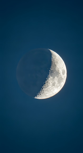 Detailed First Quarter Moon Against Deep Blue Sky - Free mobile Wallpaper
