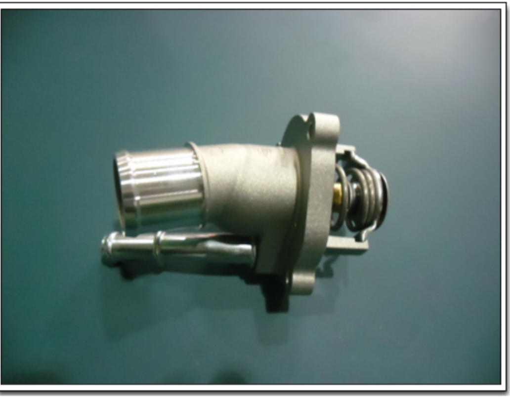 Thermostat Assembly თერმოსტატი