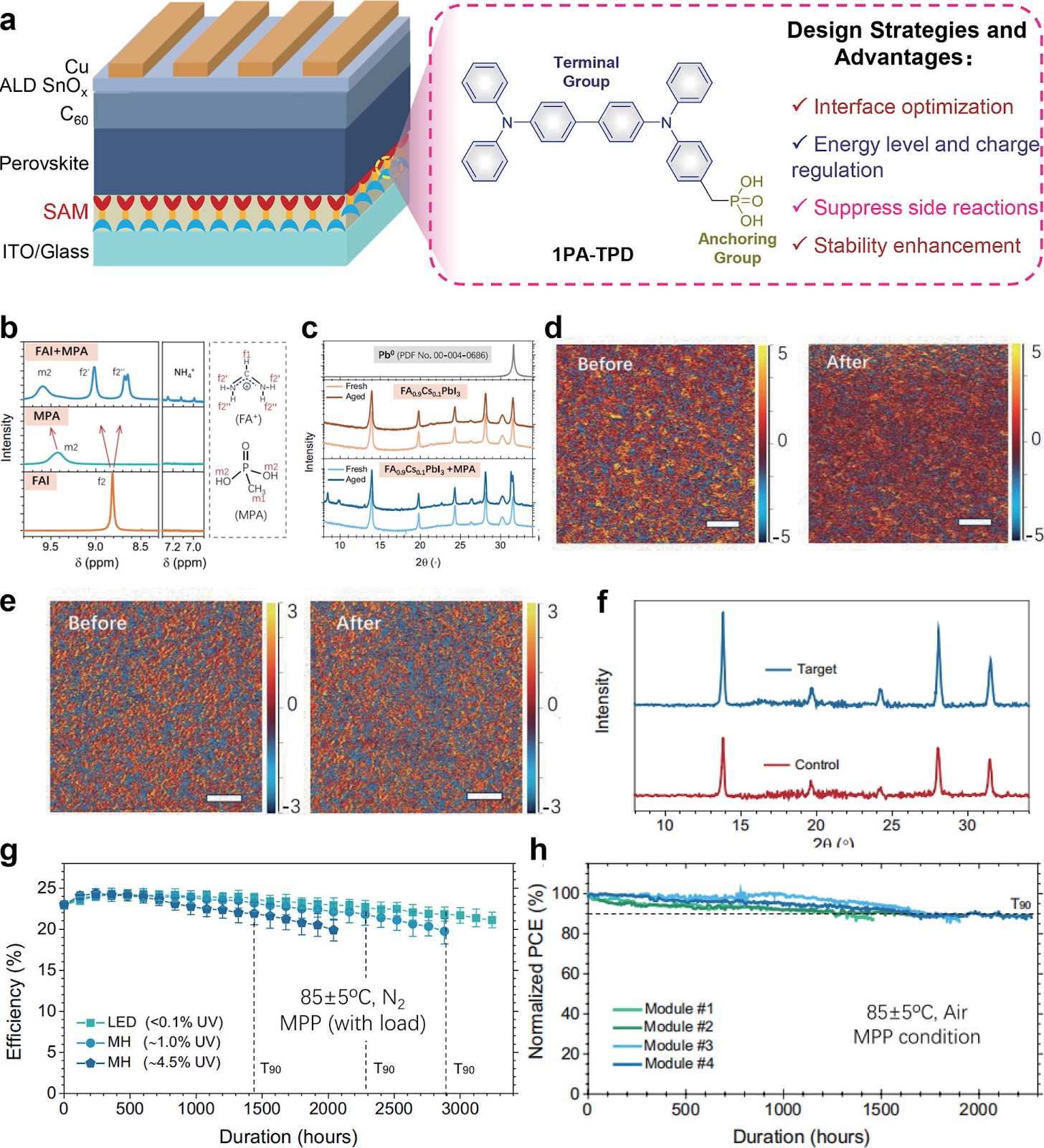 Mitigating phosphonic acid-perovskite interfacial degradation via molecular engineering for ultra-stable solar cells