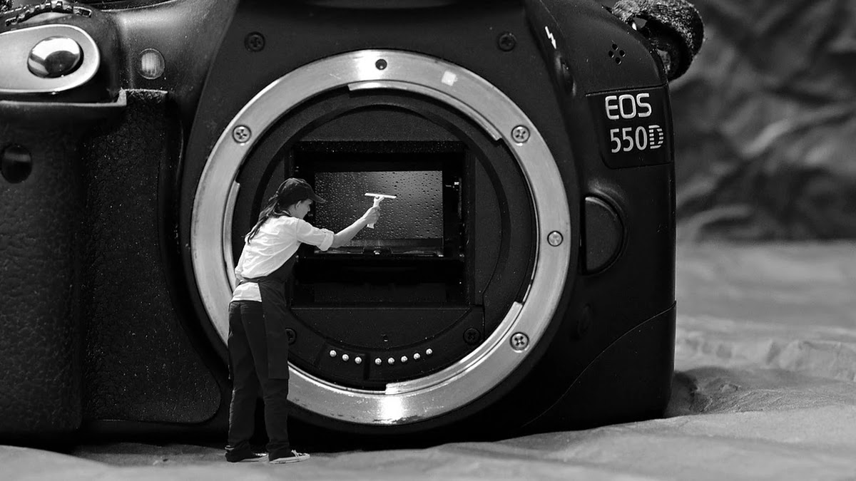 스마트폰 카메라 센서 구조와 처리 기술 비교