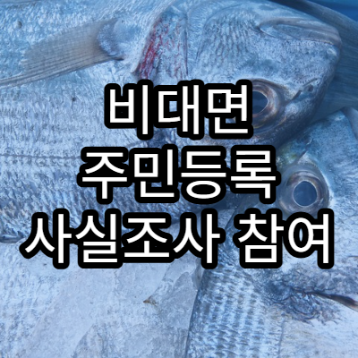 비대면 주민등록 사실조사 참여 방법과 인증 절차