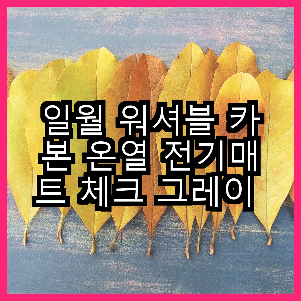 일월 워셔블 카본 온열 전기매트 체크 그레이 대 일월 모던스타일 워셔블 매트, 당신은 어떤 온기를 선택하시겠어요? 썸네일