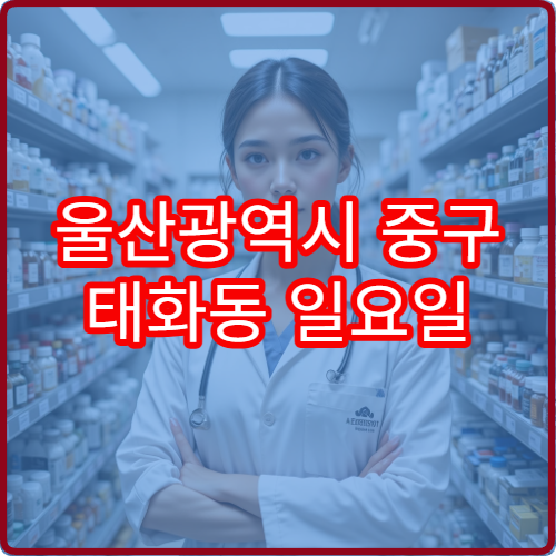 울산광역시 중구 태화동 일요일 영업하는 약국 리스트 보기 근처 주민 필수