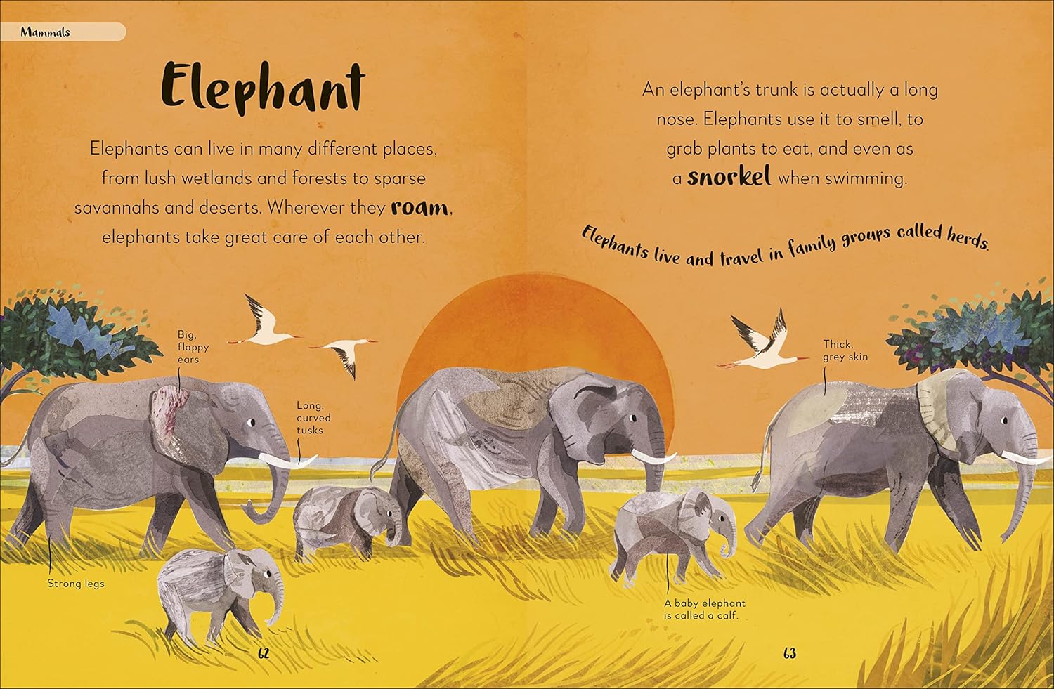The Bedtime Book of Animals - thumbnail 3