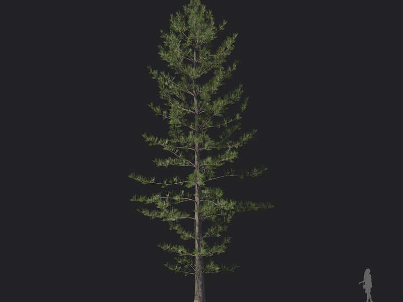 Maxtree - Plant Models Vol.121