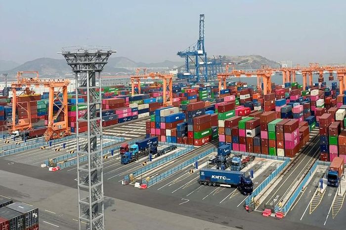 Thăm Dongwon Global Terminal - cảng container hiện đại nhất Hàn Quốc - Báo Thừa Thiên Huế