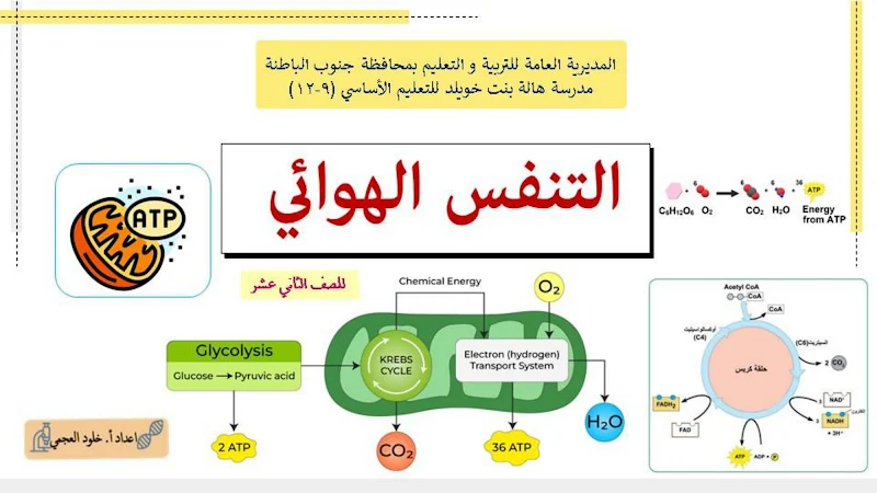صورة الغلاف